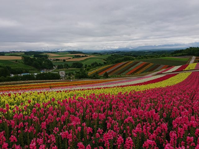 6�N�Ԃ�Ɏl�G�ʂ̋u�ɍs���܂������ς�炸�Y��ł����B�ܓV�������̂��c�O�c
_�l�G�ʂ̋u