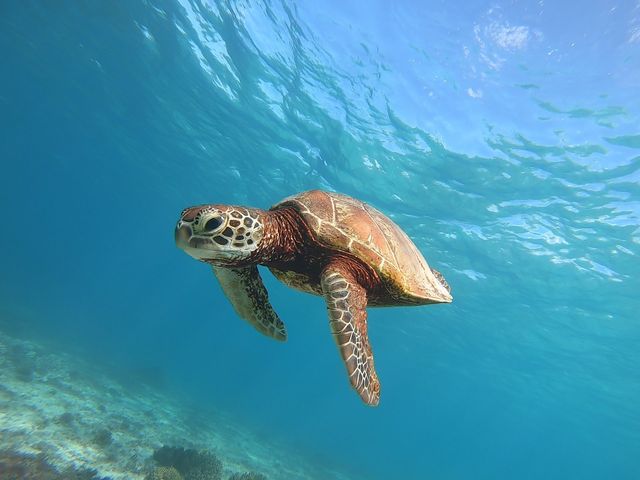 �E�~�K����_�{�Ó��@�}�����K�C�h�@���l�@-�����񂿂�-