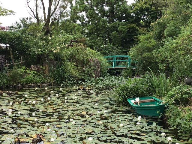 ���l�̐��@�̒낪�X�e�L_�K�[�f���~���[�W�A����b