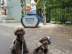 򂿂񂳂̃[~o[p[Nւ̓eʐ^1