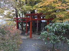 なべきちさんの亀磨神社の投稿写真1