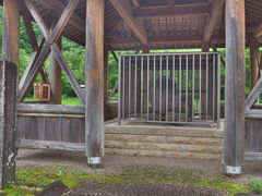 sklfh����̑��� �W�����I�̉��ΌQ�n�ւ̓��e�ʐ^1