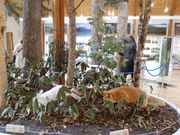 \tgȏS 57΂̂ЂᎩRق̓eʐ^2