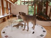 \tgȏS 57΂̂ЂᎩRق̓eʐ^3