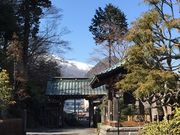 傤܂̔ΎR ʎ@ ὠeʐ^2