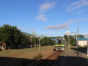 ̃jZRz쉷򋽂̓eʐ^1