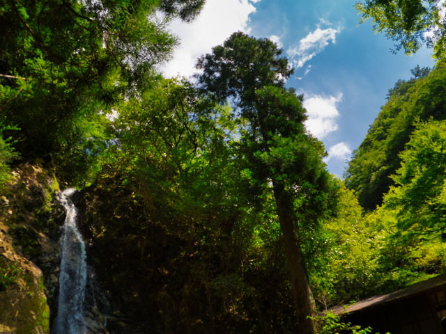 �^�Ă̑�A�������Ă����ł���B_�s���̑�