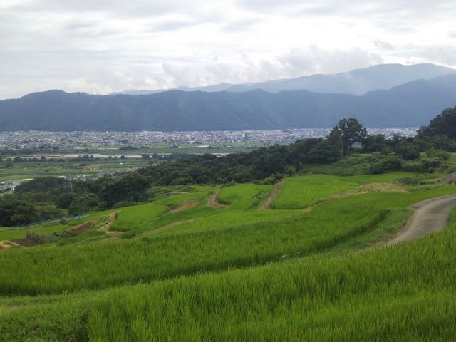 �ޏ�̔_���͂Ђ��傤�ɋ����̂Ŕ_��Ƃ̏��Ȃ������ɖK��悤�B_�H�̂̒I�c