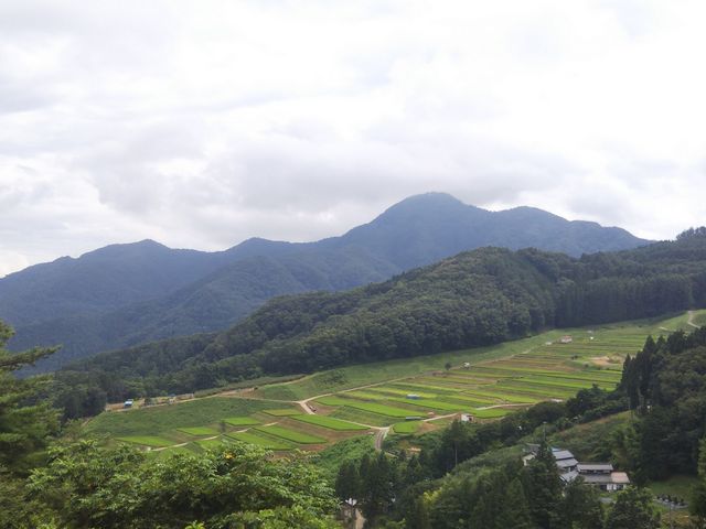 �������ɓo��r���ɂ��i�ς̗ǂ��I�c���E�E_�H�̂̒I�c