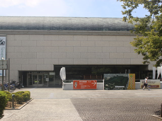タイの古陶磁　堺市博物館 堺市博物館 「タイの古陶磁 Ⅲ」（2） - の～んびり タイランド 2