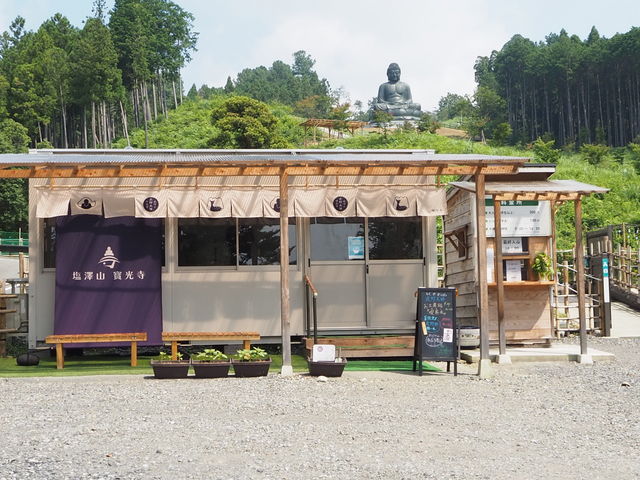 yYwixł́A^AATVcAnYނgi𑽐WJĂ܂B_VR   