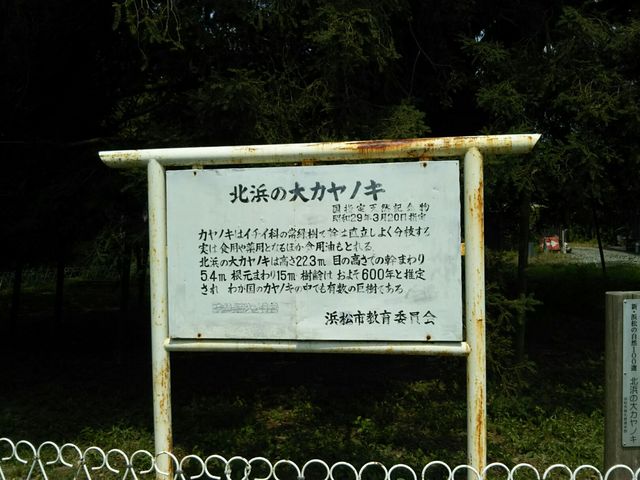 񂳂̖kl̑JmL̓eʐ^3