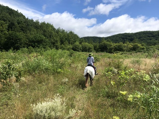 ���Ȃ����R�ɂ������čs���܂���_Horse back country