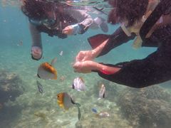 qR̐̓A@Dive@ւ̓eʐ^1