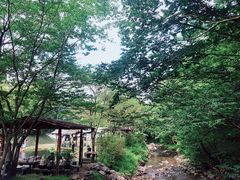 g̓E܂Ȃ̐Xւ̓eʐ^1