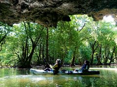 炳炳OHCUSΊ_ւ̓eʐ^1