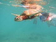 Fun&Enjoy MIYAKOJIMA̓eʐ^1