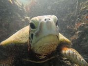 Fun&Enjoy MIYAKOJIMA̓eʐ^2