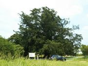 񂳂̖kl̑JmL̓eʐ^2