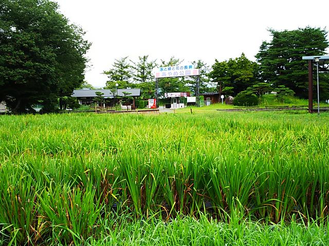 ��������̂����_����ߌ���