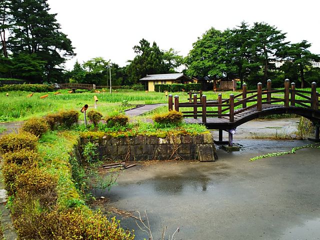 �����̋�_����ߌ���