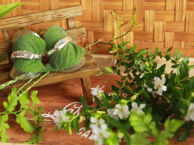 �B�e�X�y�[�X��_�̌������H�[A&M