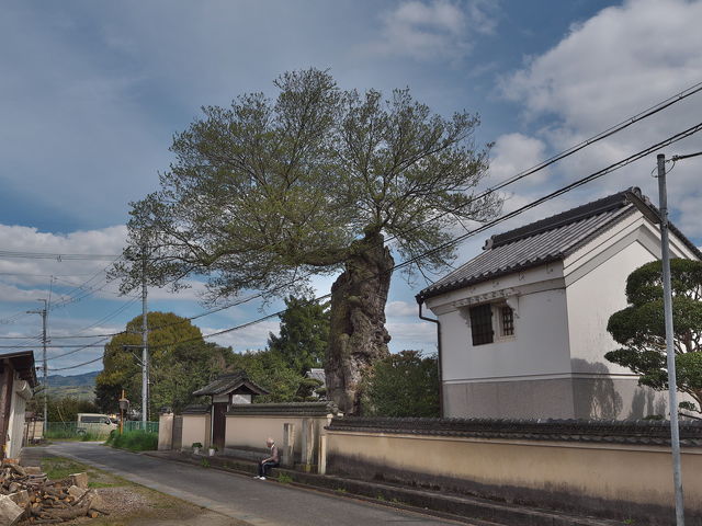 sklfh̓񌩂̑僀N̓eʐ^1