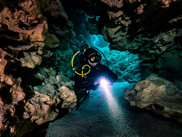 �v���t�B�[���ʐ^����I_����t���A�_�C�u