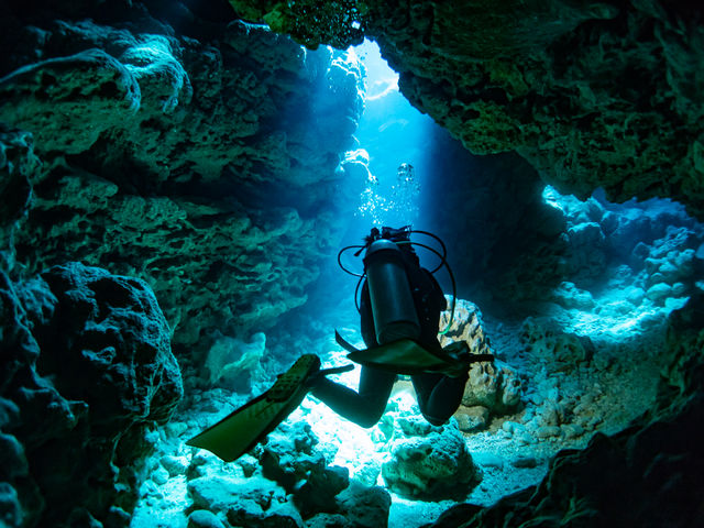 �_��I�ȃC���[�W��_����t���A�_�C�u