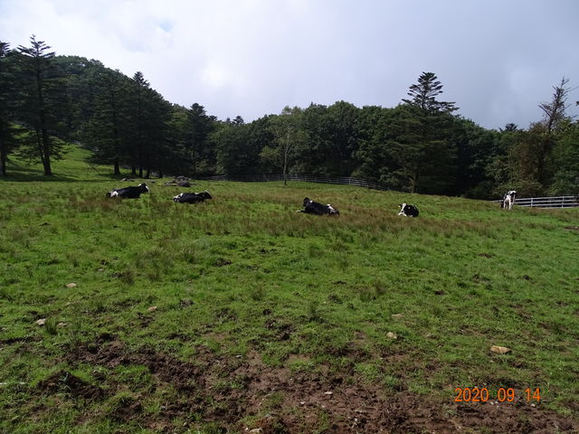 Oq̒ԏɎԂ~߂ĕ܂B
ŋ߁A܏ovAWI炵āEE


_ˎ