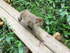 悵񂳂̏㍂nւ̓eʐ^1