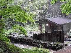 zin����̊I�ꉷ��i�������򋽁j�ւ̓��e�ʐ^1