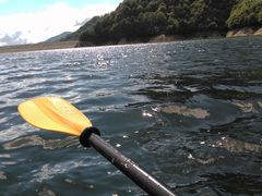 I.bL[̃hbv@AEghAKChT[rXւ̓eʐ^1