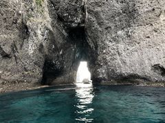 N̐̓AMN[WOv}ւ̓eʐ^1