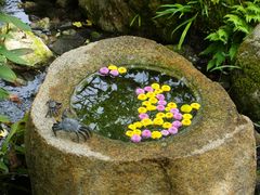 jR񂳂̈bώRւ̓eʐ^1