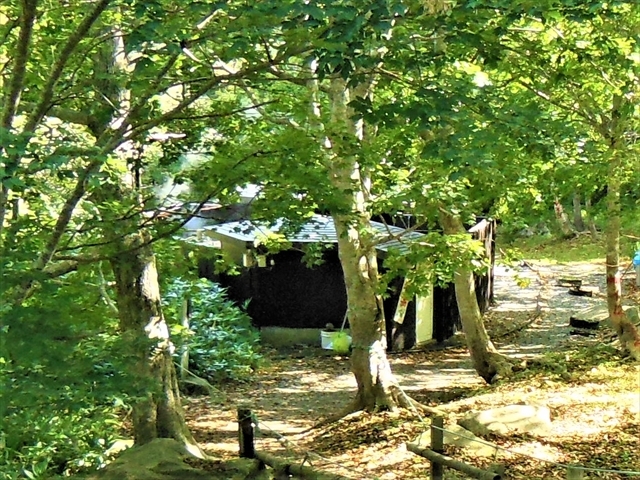 �u�F�̓��j���ʒE�ߏ��F���ɒj���I�V���C��������v_�F�̓�����