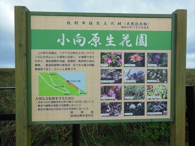 ��ʎs�w�蕶�����u����(�ѹ)�����ԉ��v_�R���P�����ԉ�