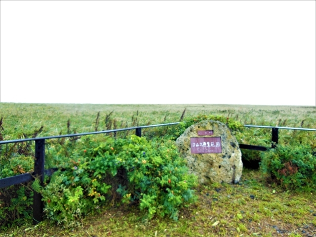 ����(�ѹ)�����ԉ�_�R���P�����ԉ�