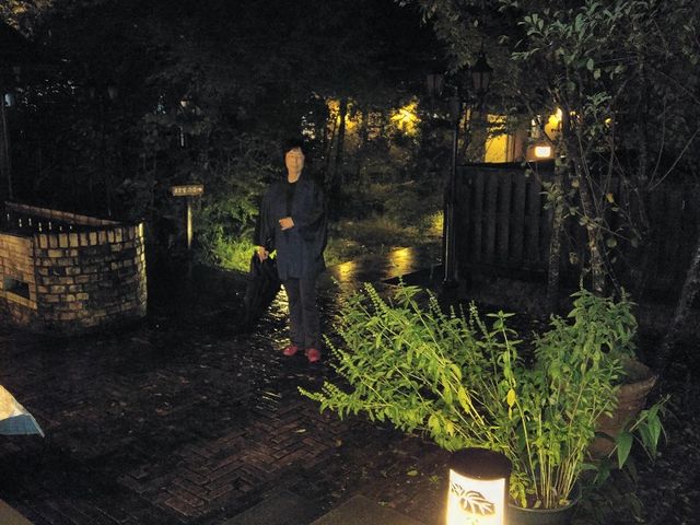 ��Ԃ͔������W�����C�g�����鉷��_���B���J��