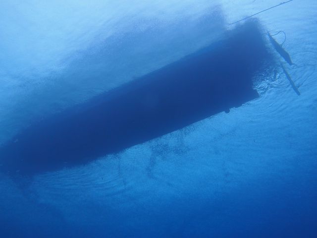 �C�̓����x�������������I_mellow's