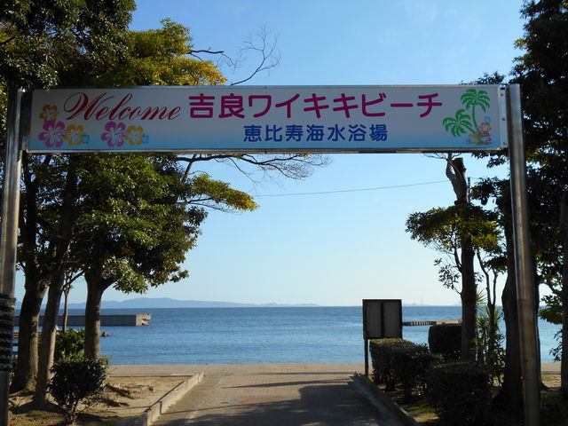 �������C�L�L�Ȃ񂾁E�E_�b����C������