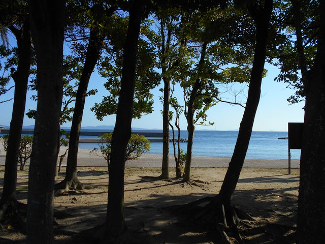 ���ԏꂩ�猩���C_�b����C������