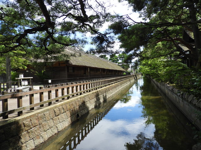 ���y����_�������i�V�����V���c�s�j