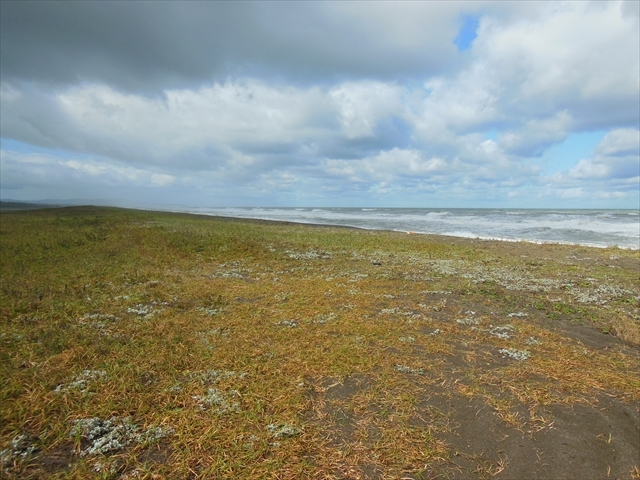 ÐhF̃VumciC΂̓eʐ^3