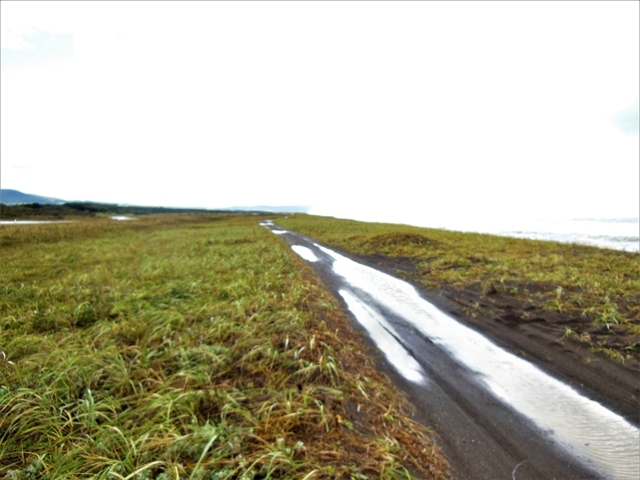 �R���P�ΊO�����H�F�R���P�΂ƃI�z�[�c�N�C(���̐�ň����Ԃ�)�B_�R���P��