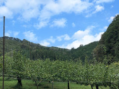 biruru̓y{όʎւ̓eʐ^1