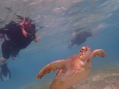 Reeftour HONEY̎ʐ^1