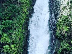 ��@�̑�̎ʐ^1