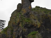 O`̃SWό@XVEH[N̓eʐ^1