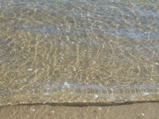 Lemon salťbC̓eʐ^1